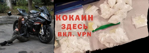 прущие грибы Зерноград