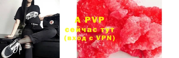 прущие грибы Зерноград