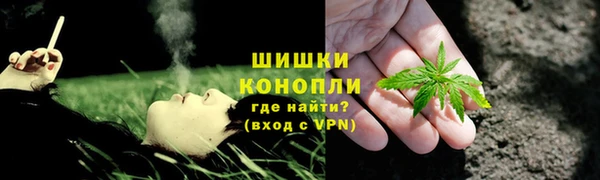 прущие грибы Зерноград