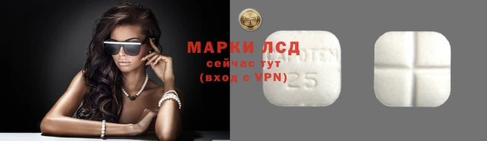 прущие грибы Зерноград