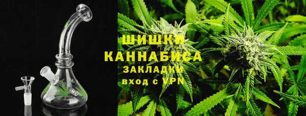 прущие грибы Зерноград