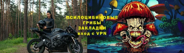 прущие грибы Зерноград