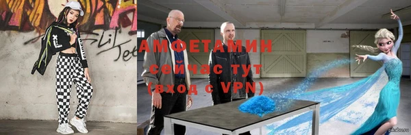 прущие грибы Зерноград