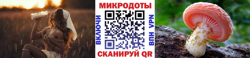 Галлюциногенные грибы мухоморы  Купить где  Гусев 